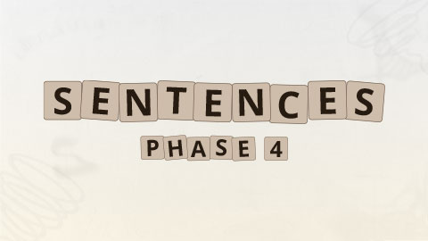 Sentences