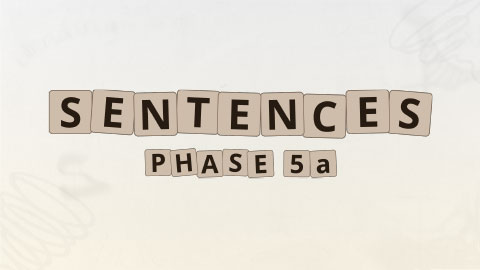 Sentences