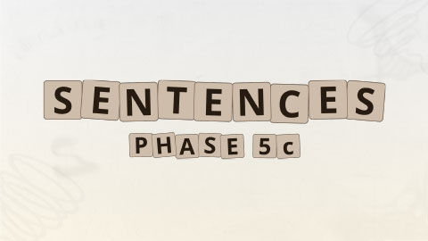 Sentences